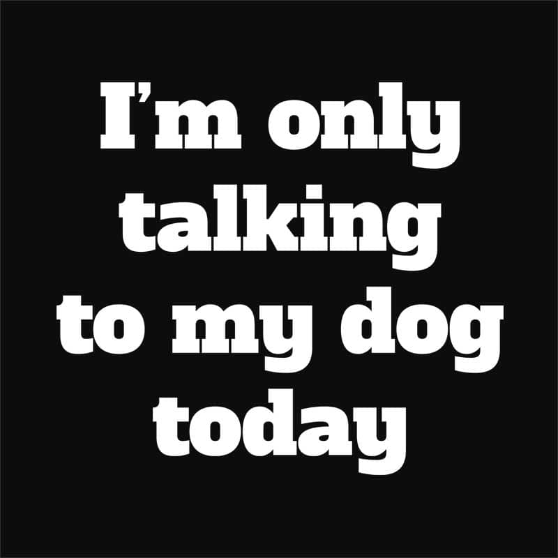Ma csak a kutyámhoz beszélek