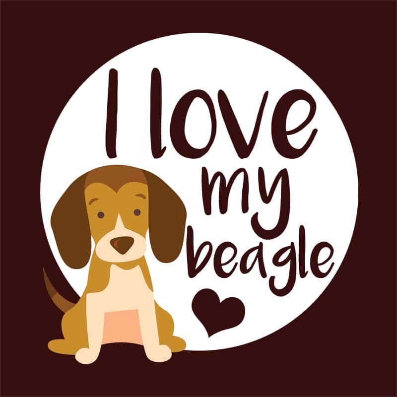 Szeretem a beagle-met