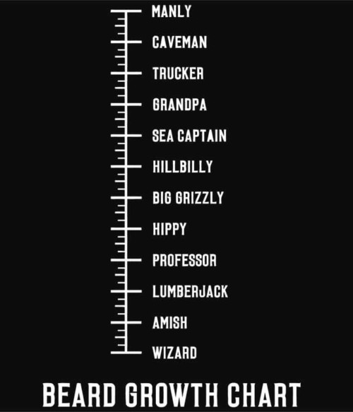 Beard Growth Chart Póló - Ha Beard rajongó ezeket a pólókat tuti imádni fogod!