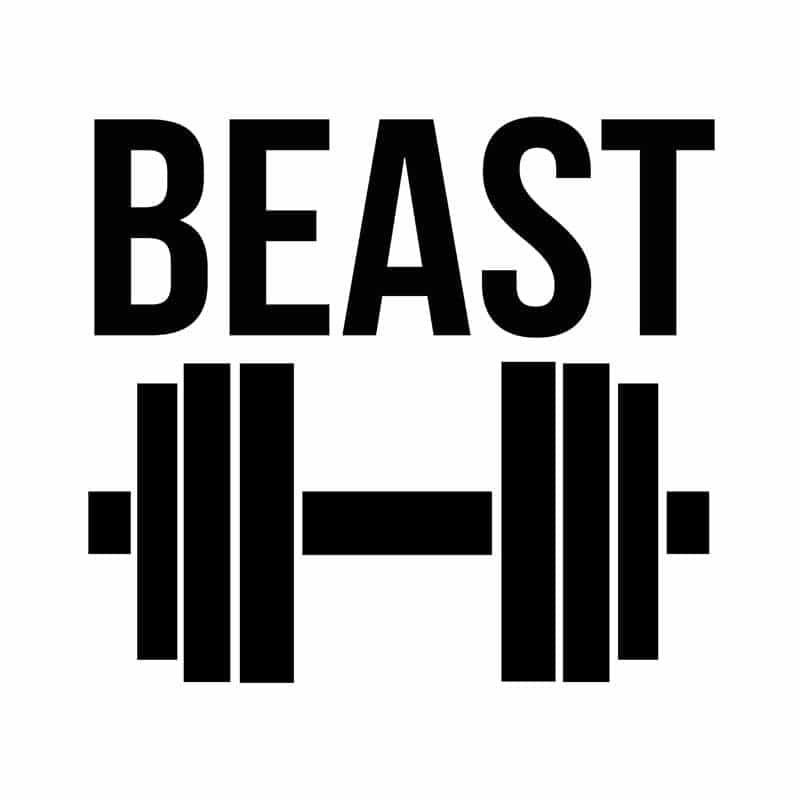 Beauty and Beast – Beast