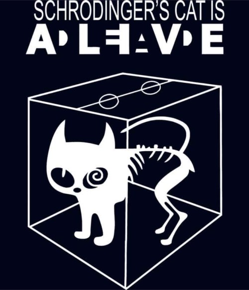 Schrödinger macskája Póló - Ha The Big Bang Theory rajongó ezeket a pólókat tuti imádni fogod!