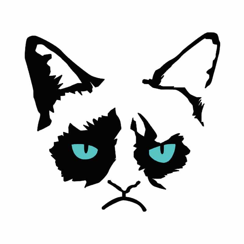 Grumpy Cat Eyes