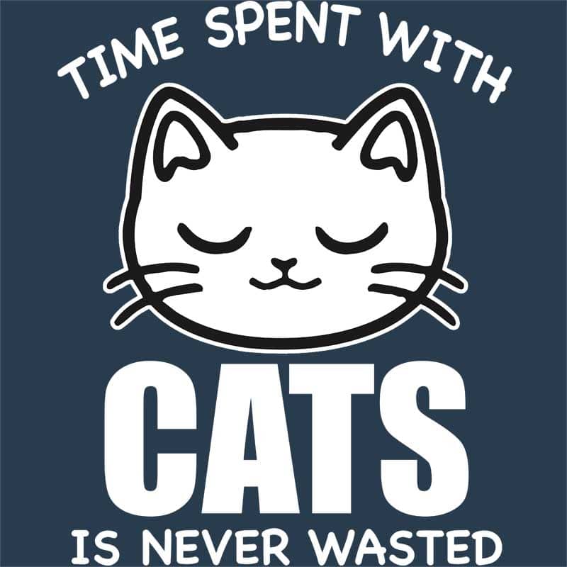 A macskákkal töltött idő sosem elvesztegetett