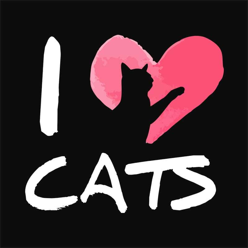 Szeretem a macskákat