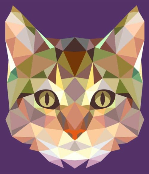Polygon Cat Póló - Ha Cat rajongó ezeket a pólókat tuti imádni fogod!