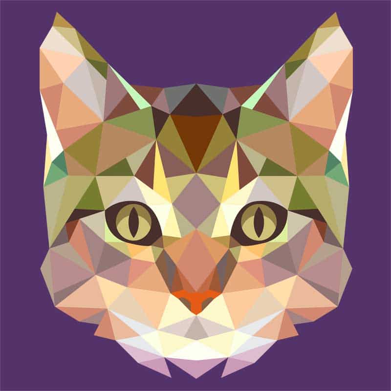 Polygon Cat