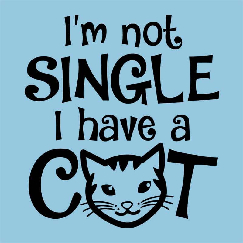I am not single I have a cat
