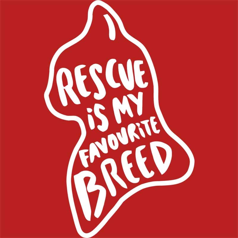 Rescue cat