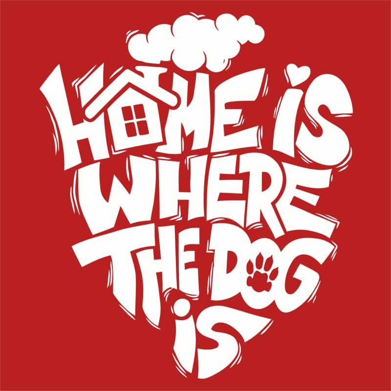 Home is where dog is
