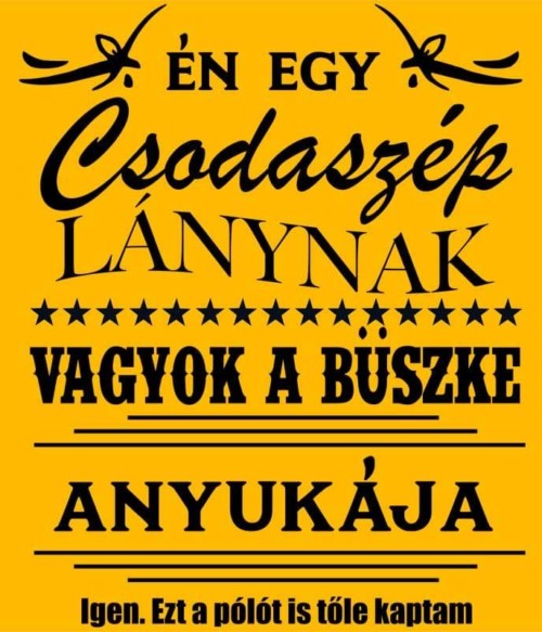 Csodaszép lány Póló - Ha Family rajongó ezeket a pólókat tuti imádni fogod!