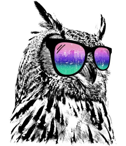 Cool owl Póló - Ha Owl rajongó ezeket a pólókat tuti imádni fogod!