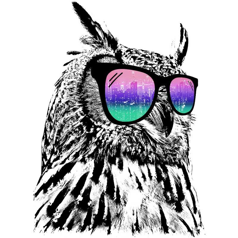 Cool owl