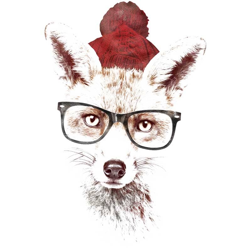 Hipster fox