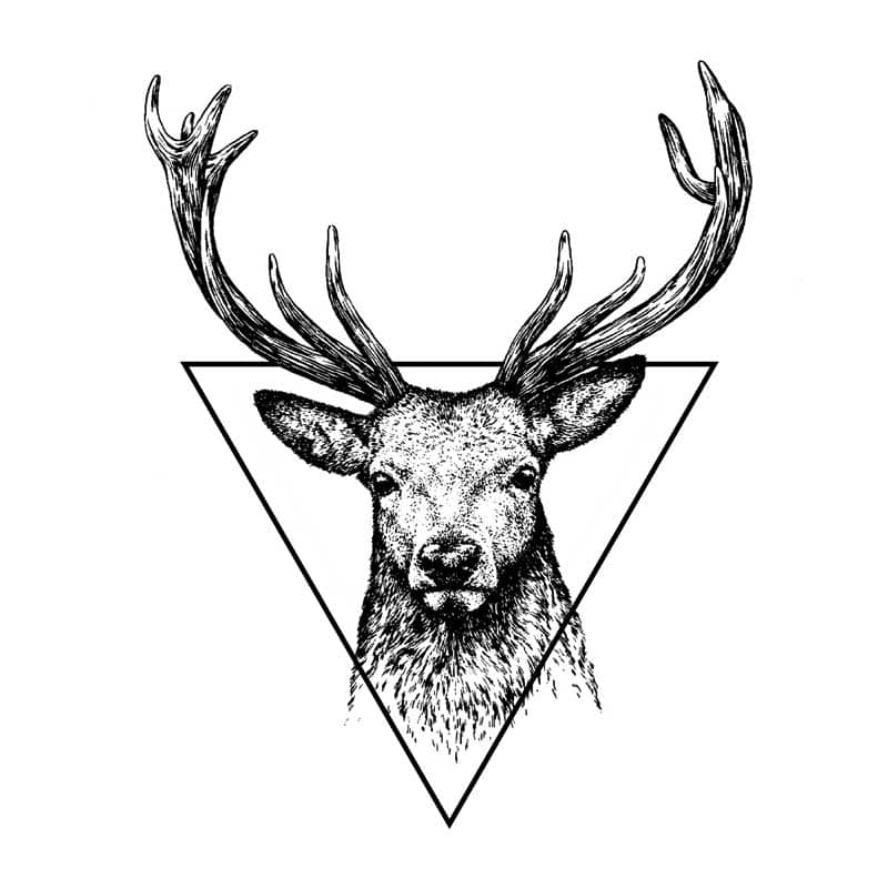 Deer in triangle