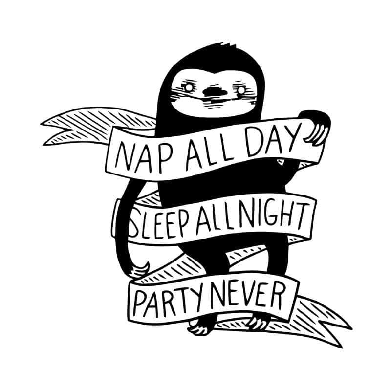 Nap all day sloth