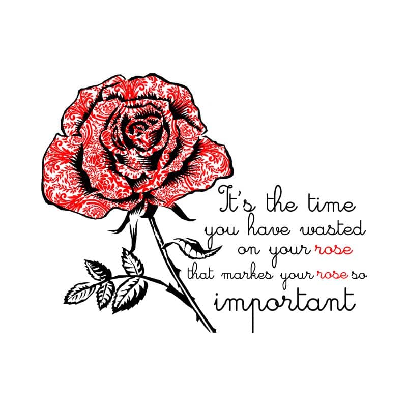 The Little Prince Rose Important