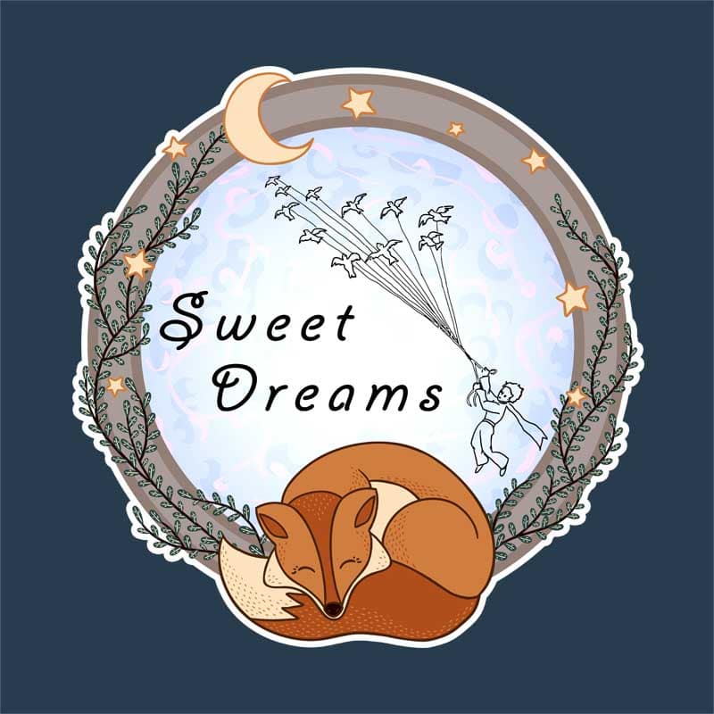 The Little Prince Sweet Dreams