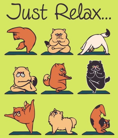 Cica jóga Póló - Ha Workout rajongó ezeket a pólókat tuti imádni fogod!