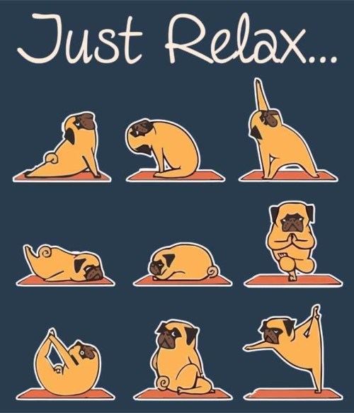 Pug yoga Póló - Ha Workout rajongó ezeket a pólókat tuti imádni fogod!