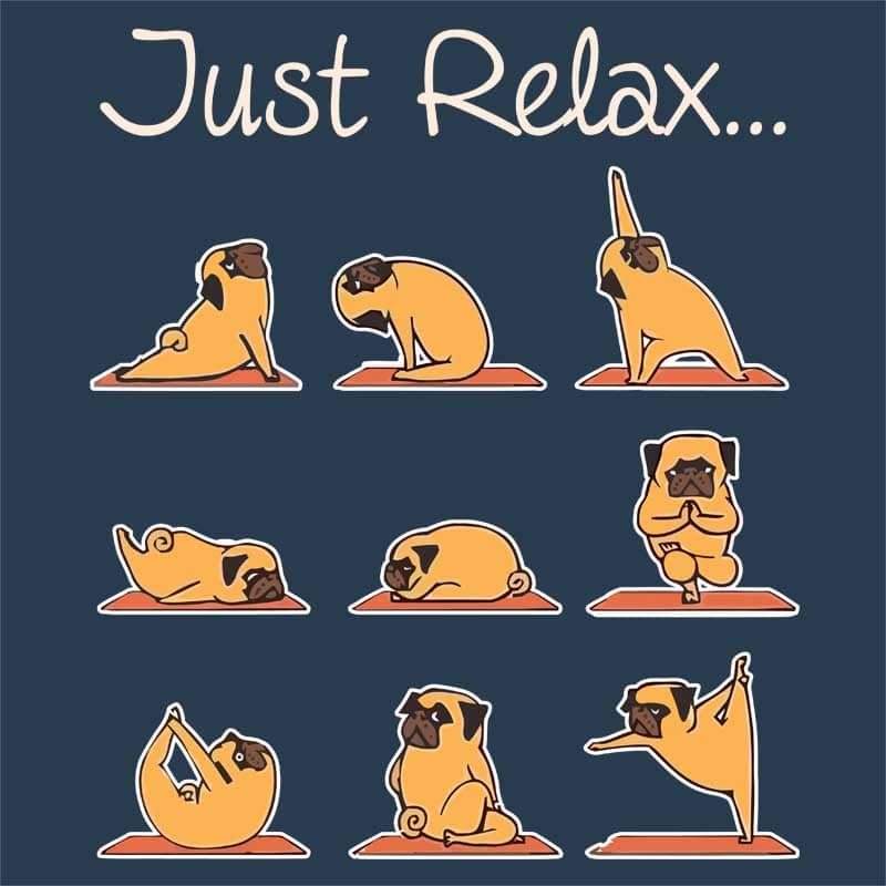 Pug yoga