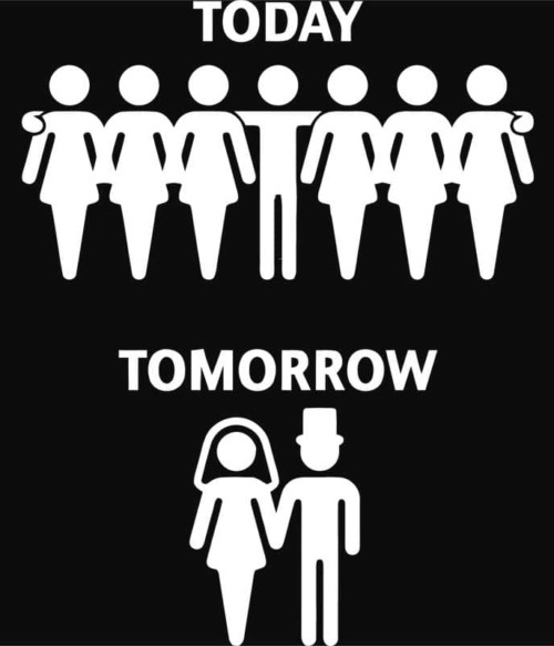 Today Tomorrow Póló - Ha Bachelor Party rajongó ezeket a pólókat tuti imádni fogod!