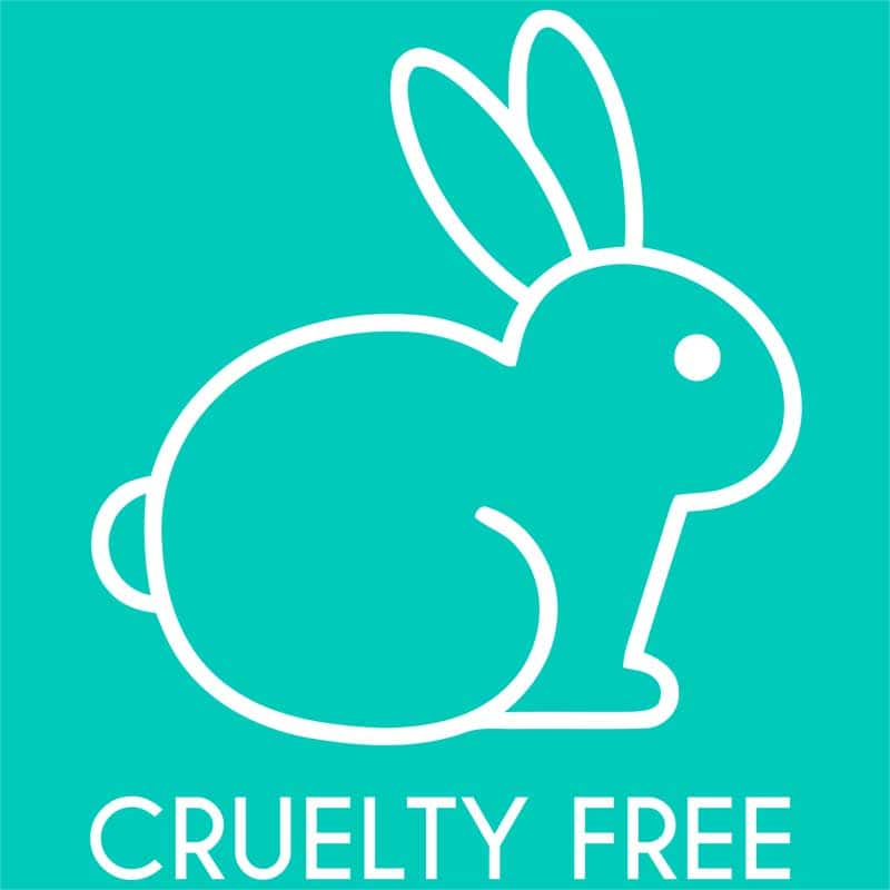 Cruelty free bunny