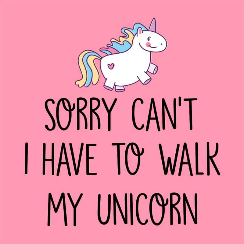I have to walk my unicorn