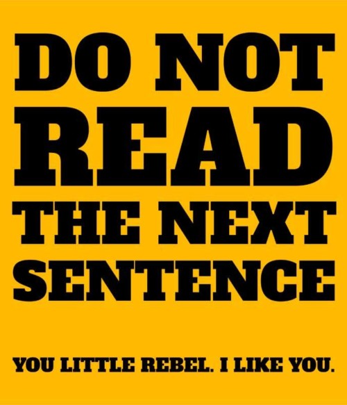 Do not read Póló - Ha Fun Texts rajongó ezeket a pólókat tuti imádni fogod!