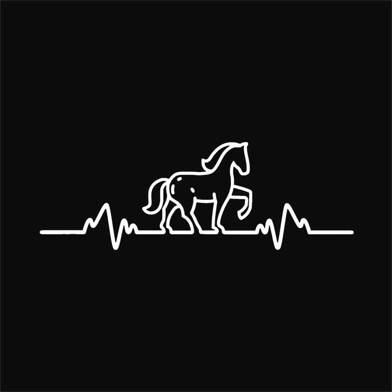 Horse EKG