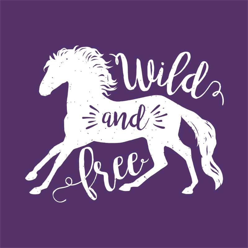 Wild and free horse