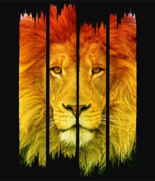 Lion stripes Póló - Ha Lion rajongó ezeket a pólókat tuti imádni fogod!