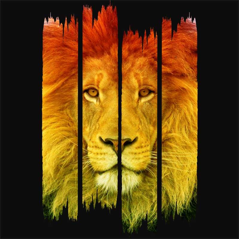 Lion stripes