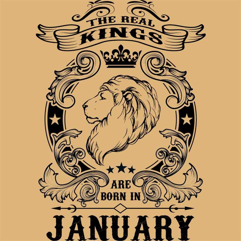 The real king lion january