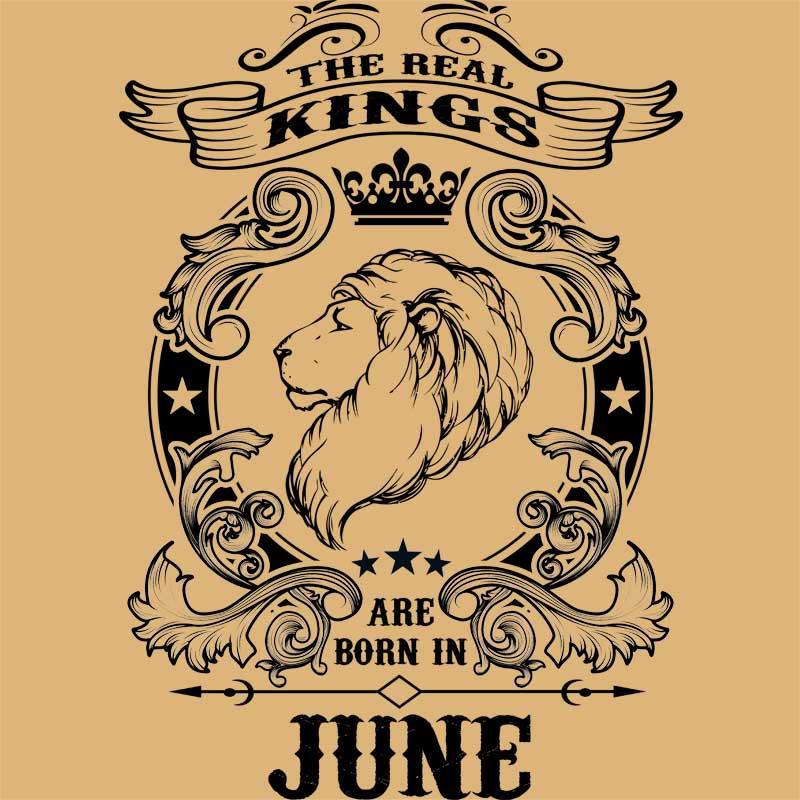 The real king lion june