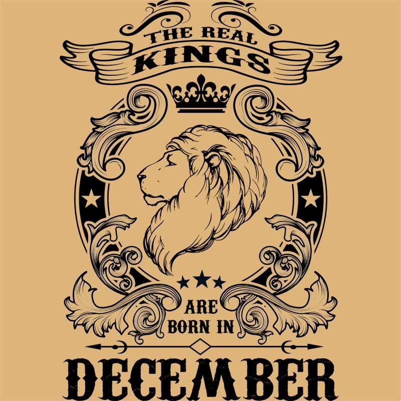 The real king lion december