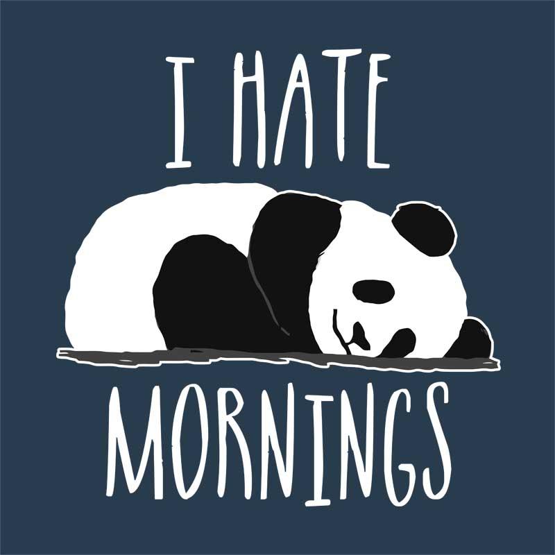 I Hate Mornings