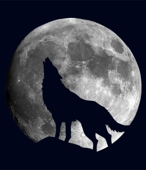 Moon Wolf Póló - Ha Teen Wolf rajongó ezeket a pólókat tuti imádni fogod!