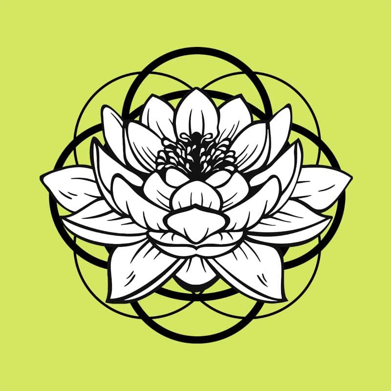 Lotus mandala