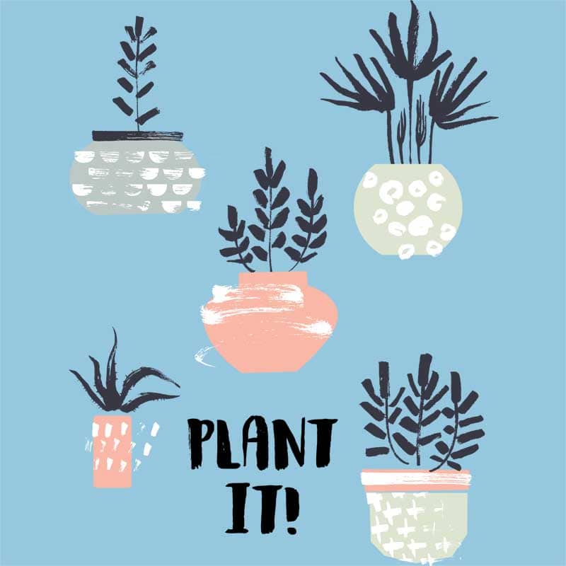 Plant it