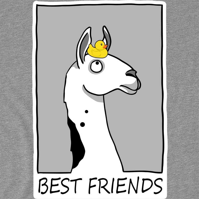 Best friends llama