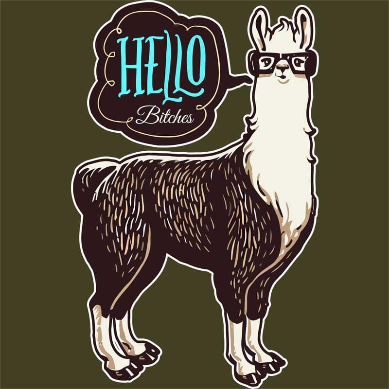 Hello bitches llama