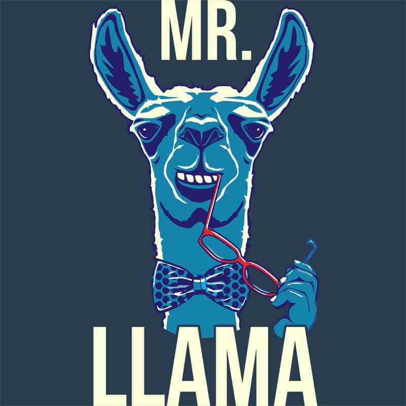 Mr. Llama