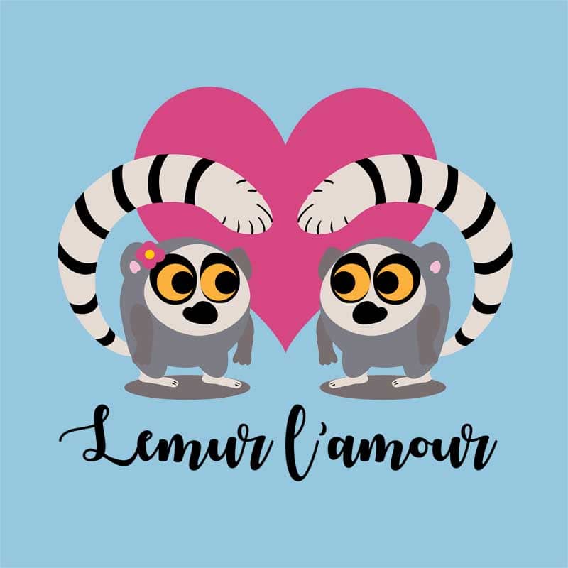 Lemur l'amour