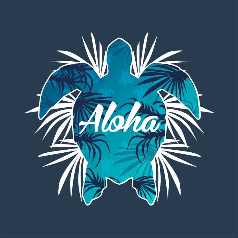 Aloha turtle