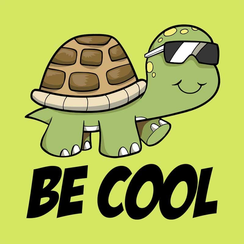 Be cool turtle