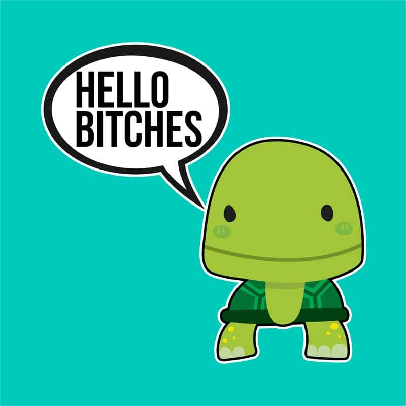 Hello bitches turtle