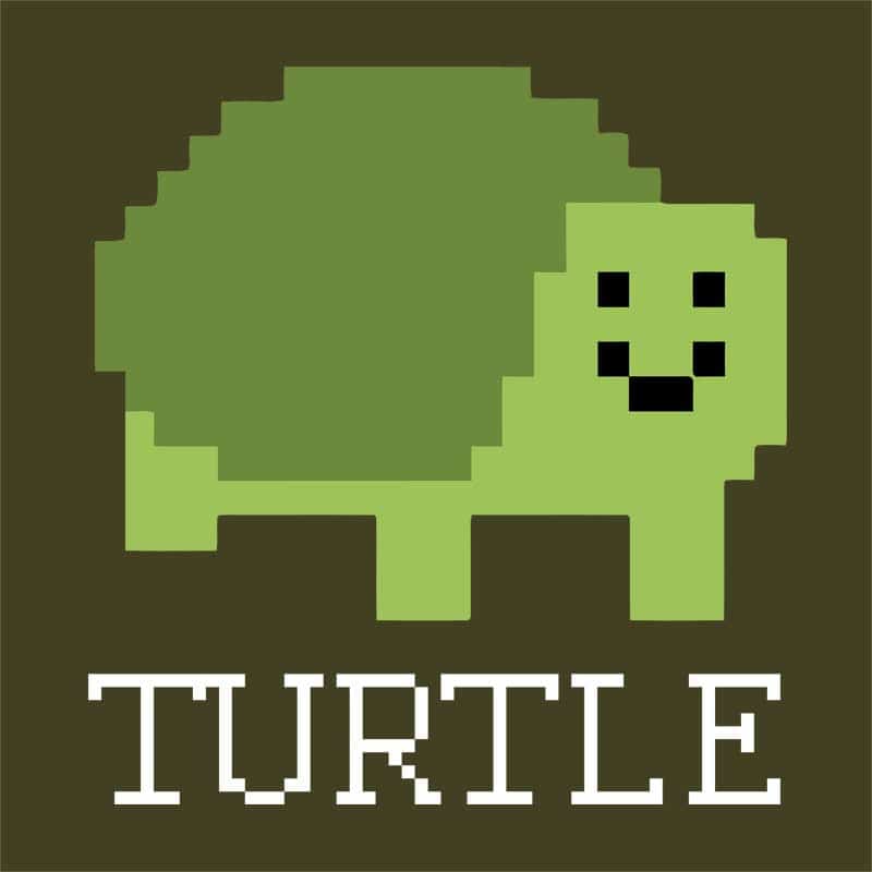 Pixel turtle