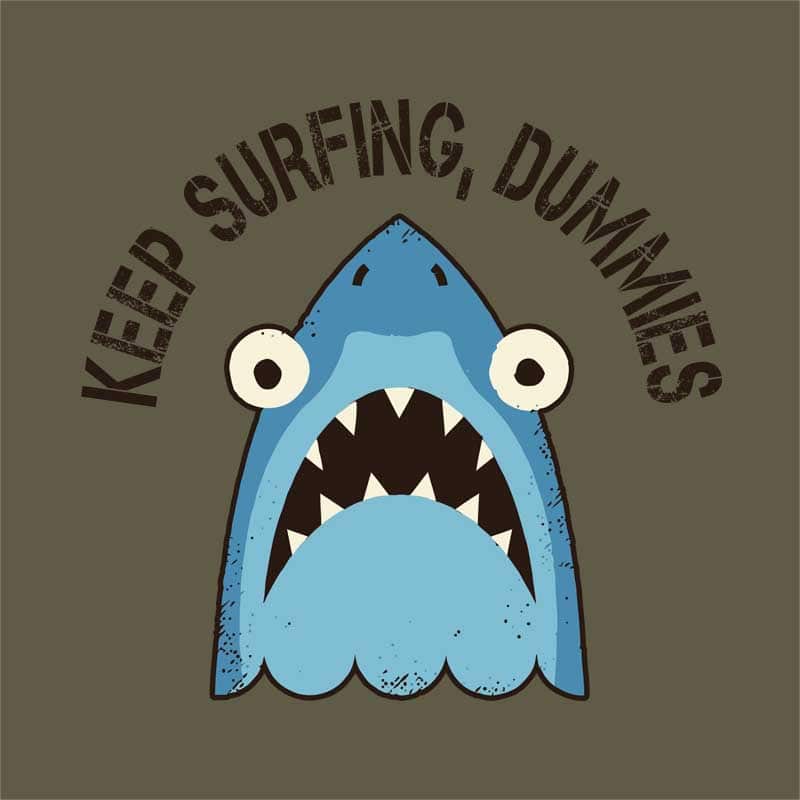 Keep surfing dummies