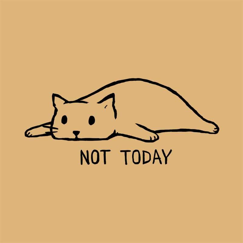 Not today cat