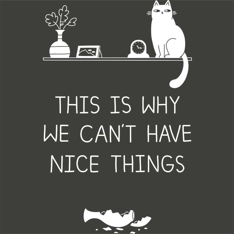 We can't have nice things